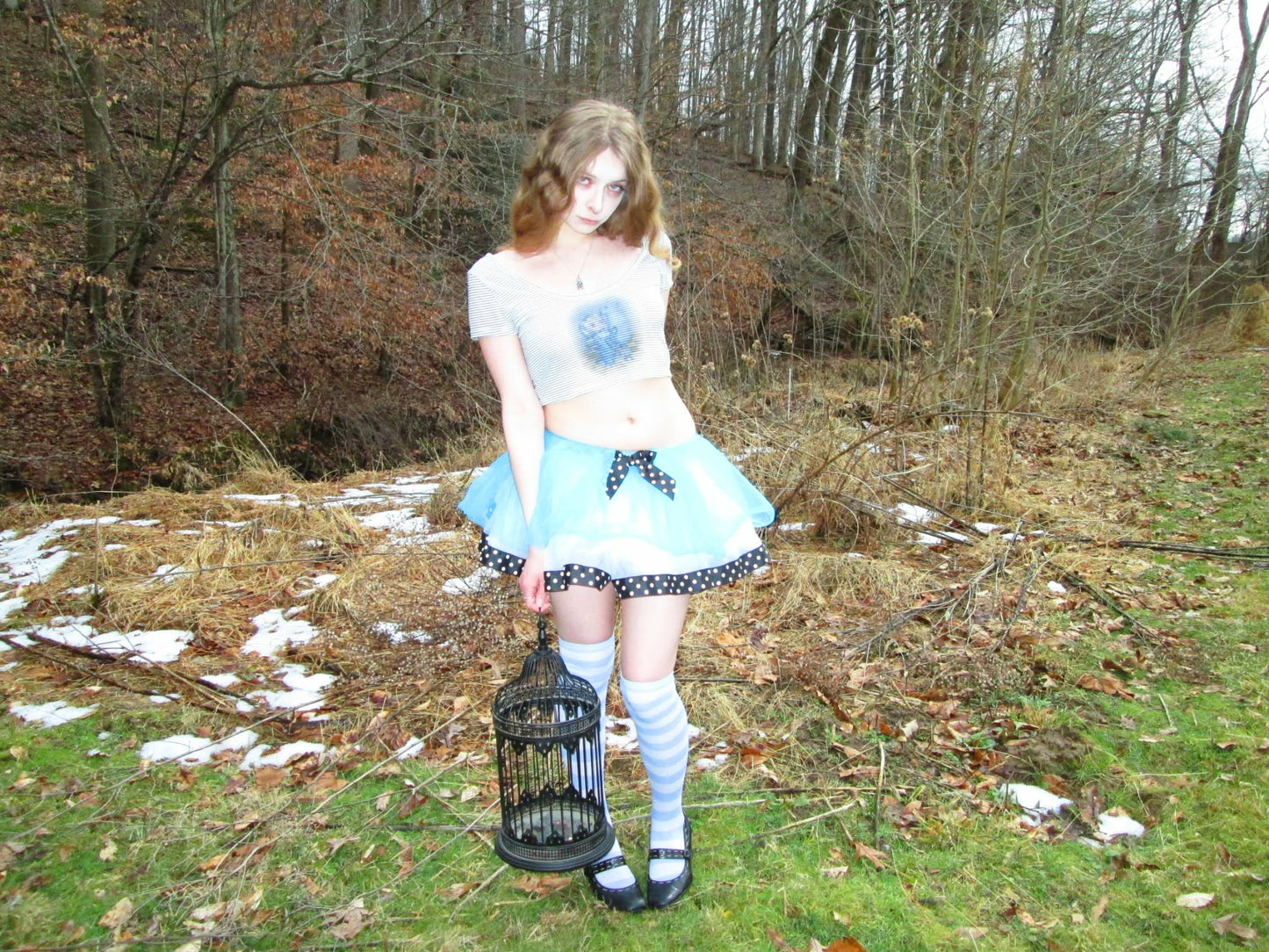 cropped and striped alice shirt