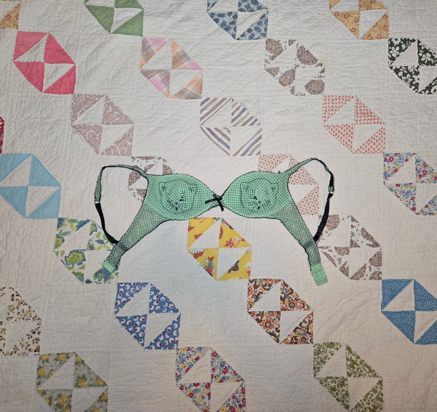 kitty titties bra