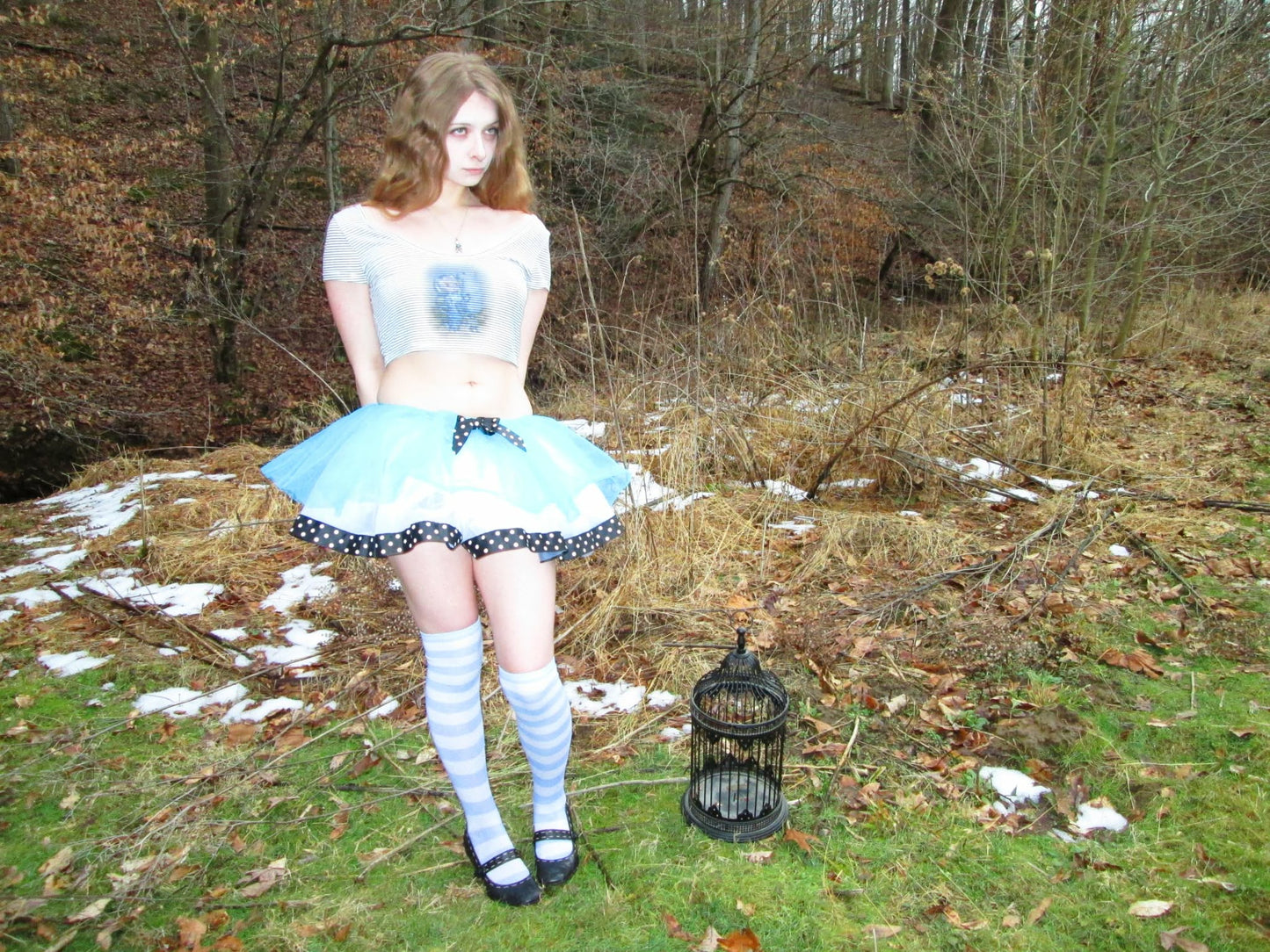 cropped and striped alice shirt