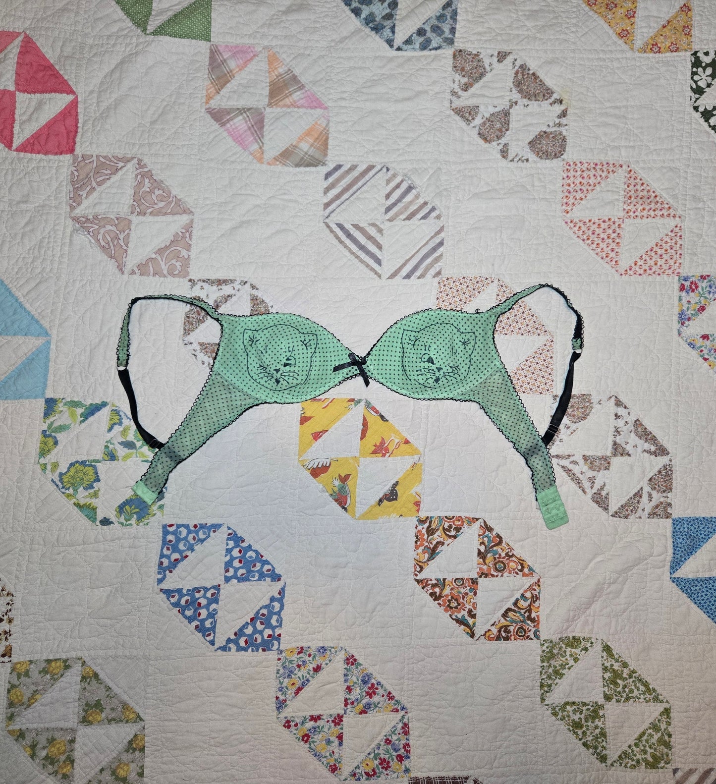 kitty titties bra